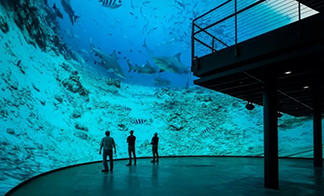 Mobile LED Panels for Immersive Brand Storytelling